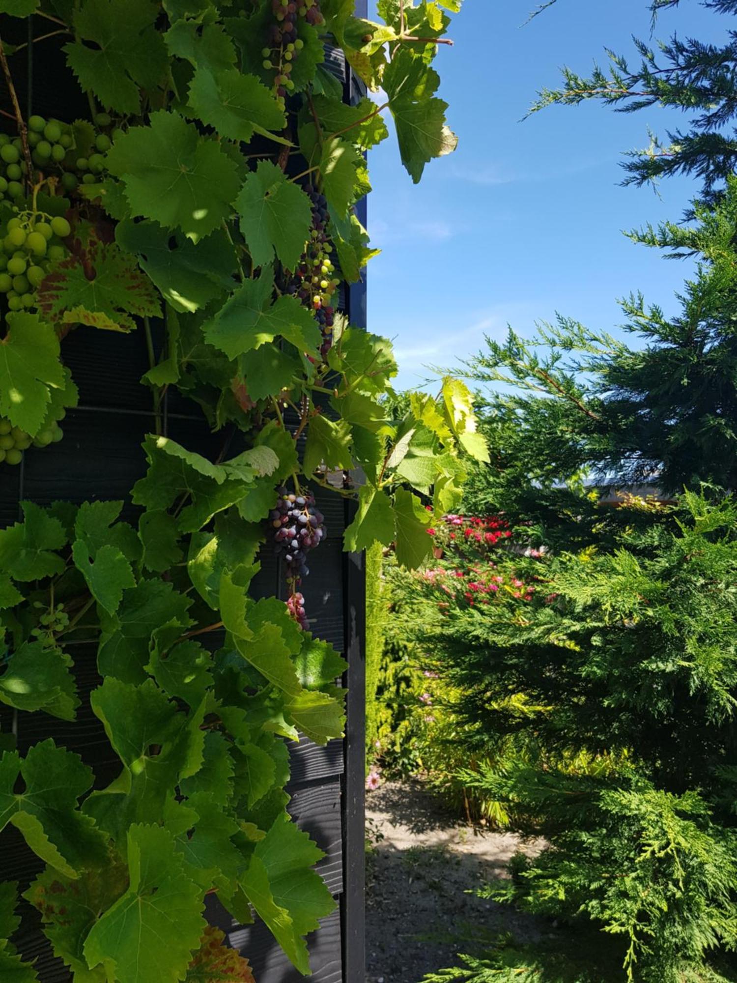 B&B Welkom Zierikzee Bilik gambar