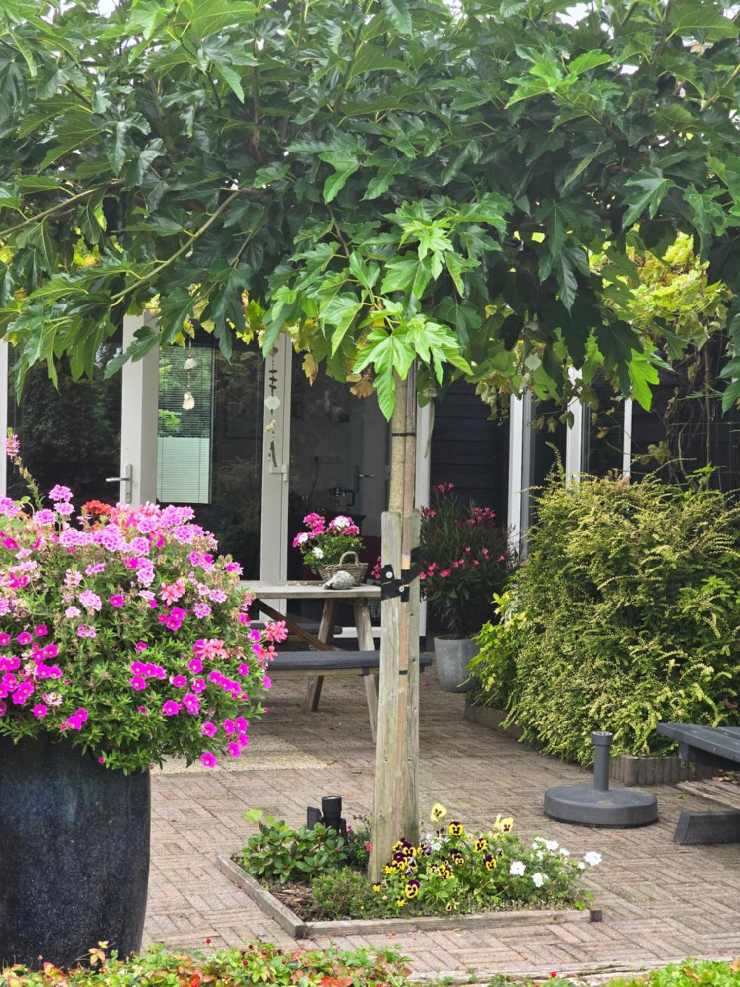 B&B Welkom Zierikzee Luaran gambar